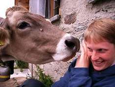 Bauernhof Urlaub