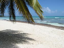 Santa Lucia