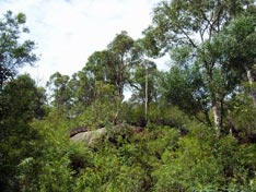 Outback NSW