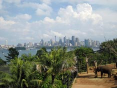 Sydney Zoo mit Skyline von Sydney