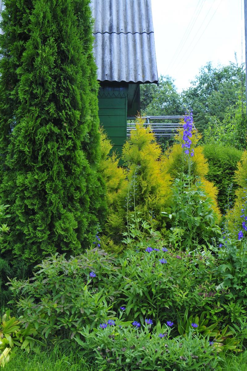 Grünes Holzhaus im Datscha-Garten