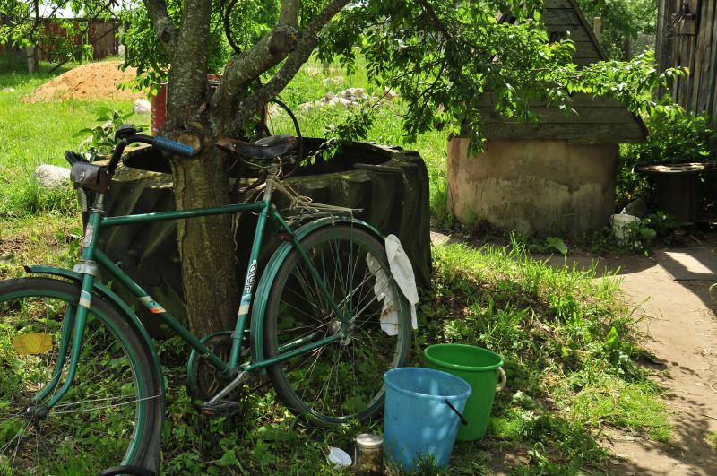 Fahrrad im Garten