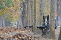 Paris - jardin Luxembourg