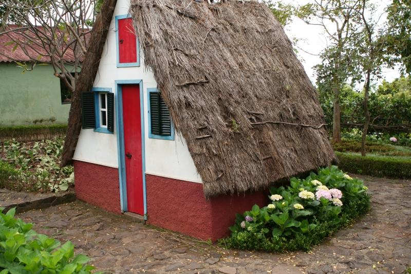 Kleines Haus mit Reetdach und roter Tür im Grünen