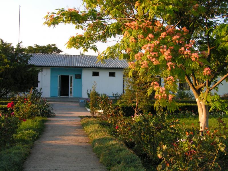 Ferienhaus mit Gartenweg