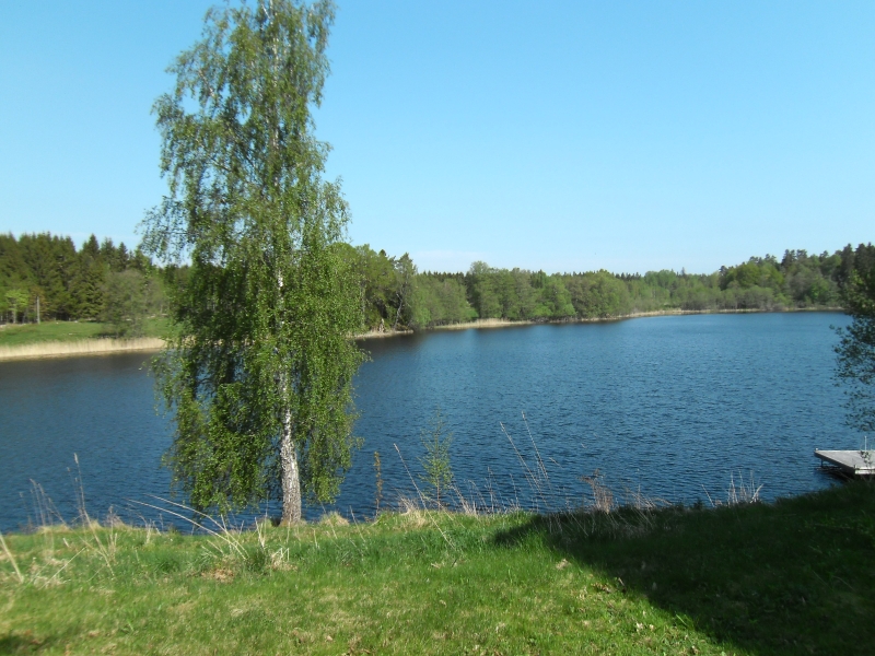 Bewaldeter schwedischer See mit kleinem Badesteg