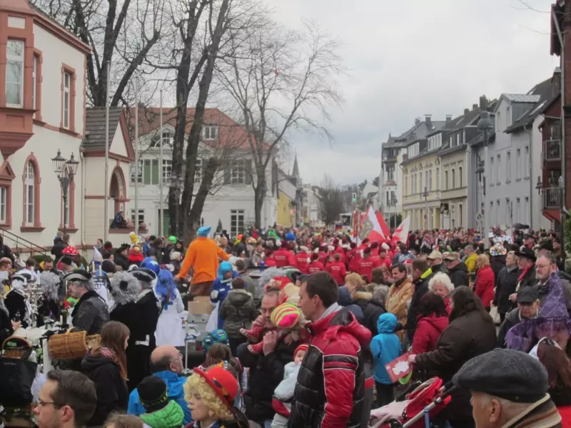 Karnevalsumzug mit verkleideten Besuchern
