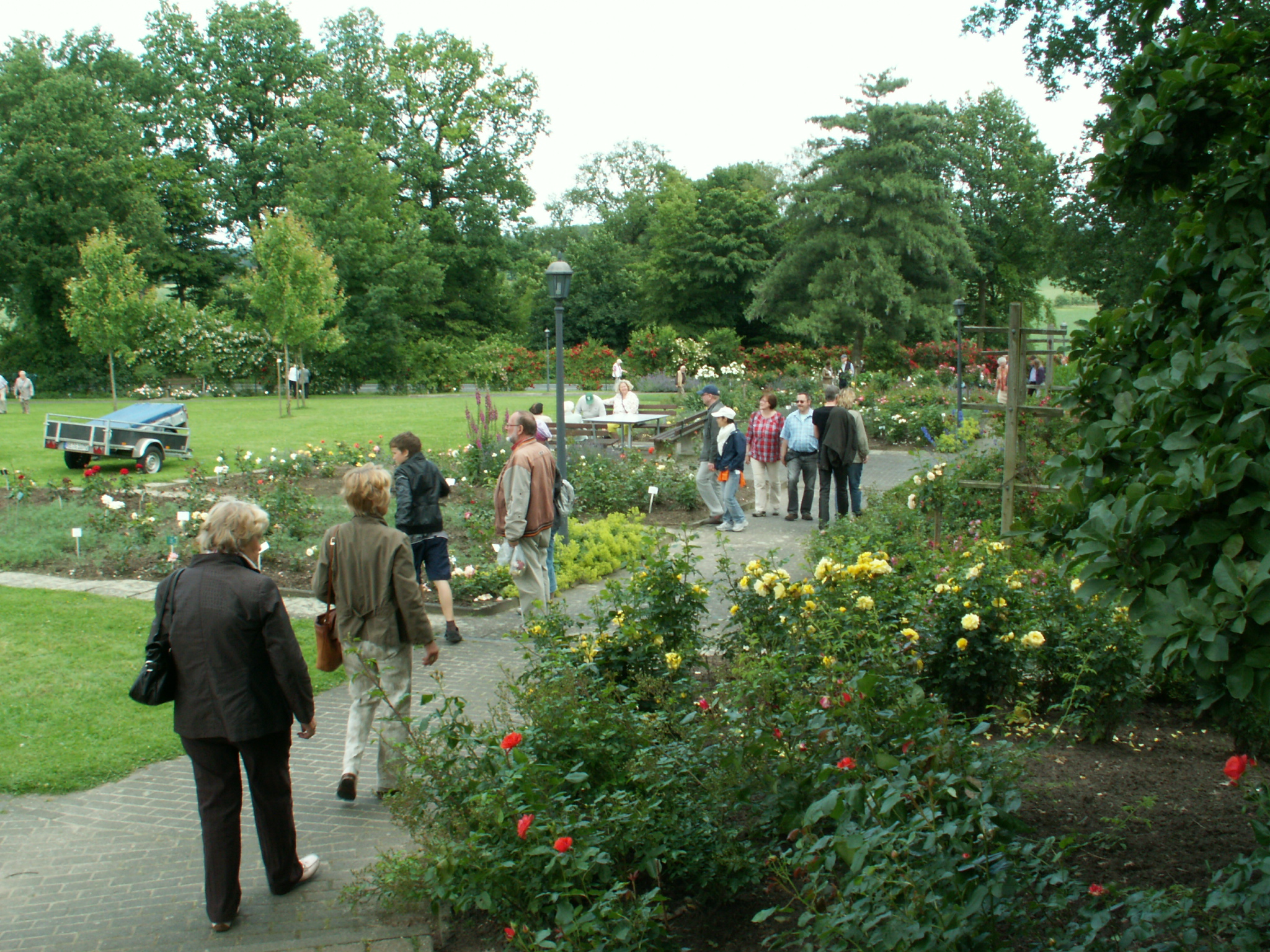 Ausstellungen