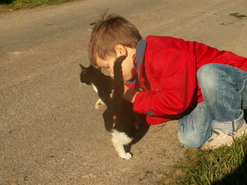 Kind kümmert sich um eine Katze im Freien