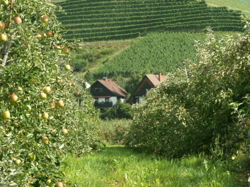 Obstbauernhof