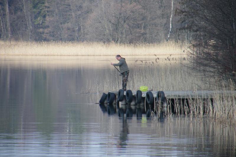 Angler auf einem Steg an einem ruhigen See mit Schilfufer