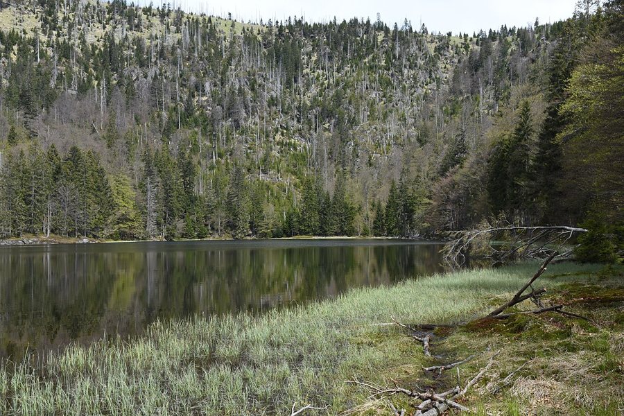 Rachelsee im Nationalpark Bayerischer Wald
