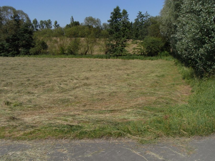 Erlenbach above K 728