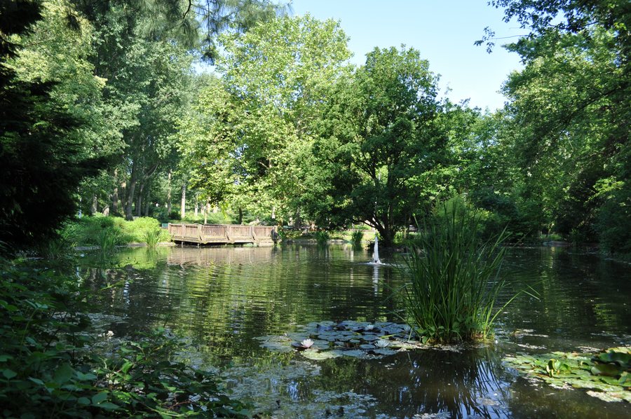 Park in Sulzbach (Taunus)
