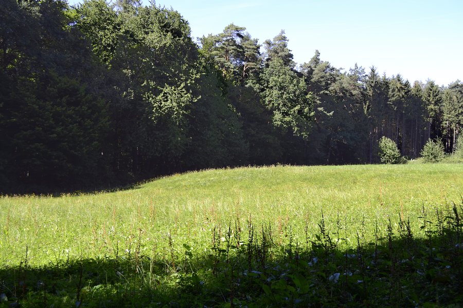 File:201208121621a Kastell Lützelbach Thermen.jpg