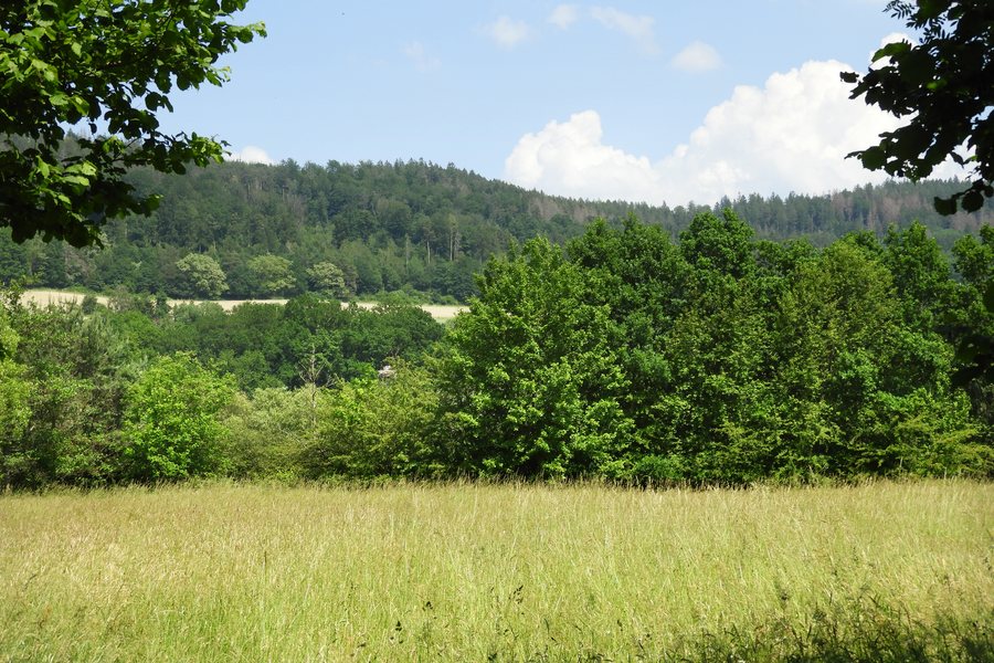 File:In der Aue bei Malsfeld (2).jpg