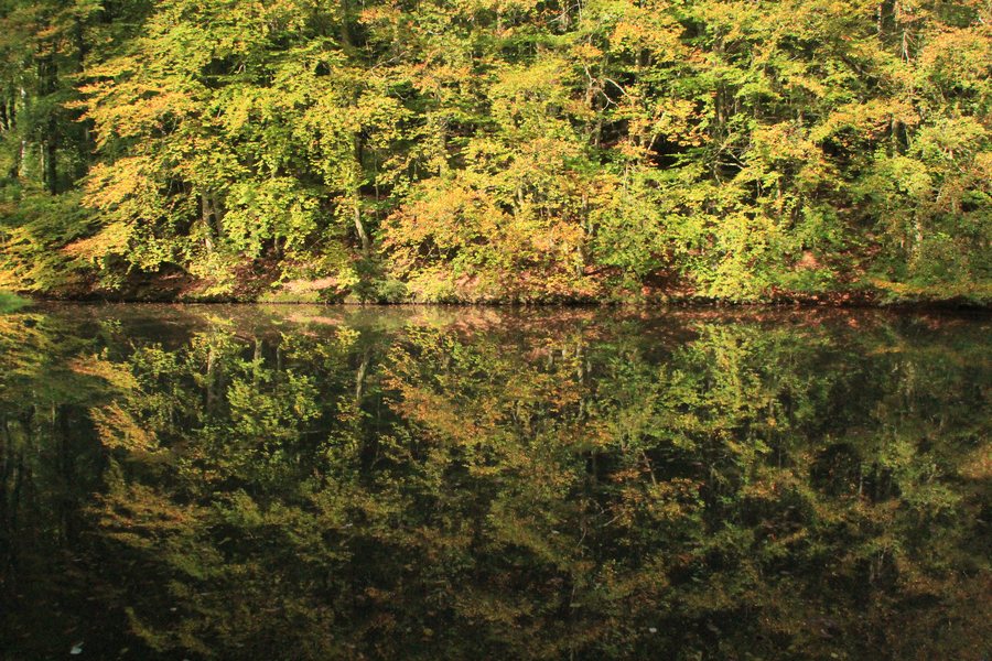File:Bad Schwalbach03.JPG