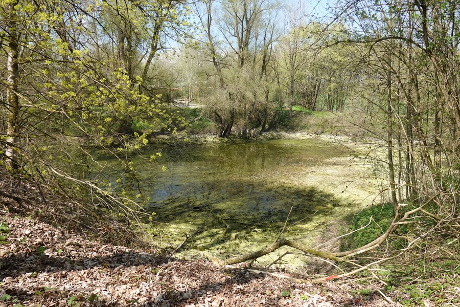File:Weiher Geltendorf.jpg