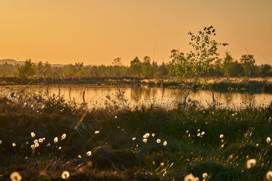 Kendlmühlfilzen bei Grassau