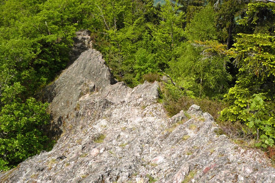 File:Karlsruher Grat im Schwarzwald (NSG 3.090).jpg