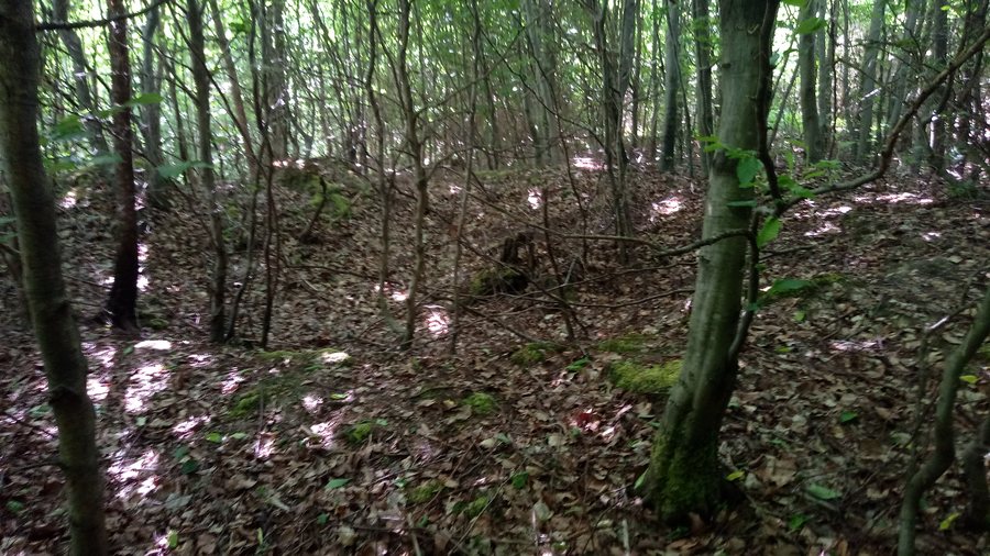 File:Grabhügel bei Binau.jpg