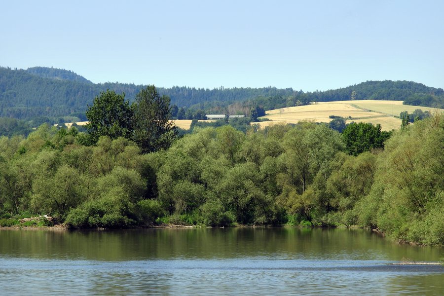 File:Naturschutzgebiet „Forbachsee bei Bebra“ (1).jpg