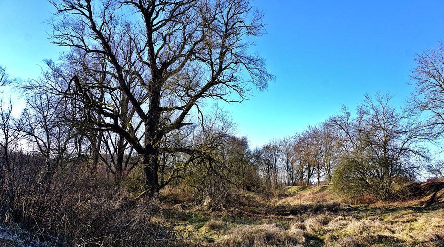 File:Landschaftsbestandteil LB-00501 Götzbachgraben (Niederaichbach, LK Landshut).jpg
