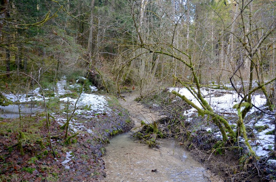 File:Harrasbach nördlich von Harras, Wehingen.jpg