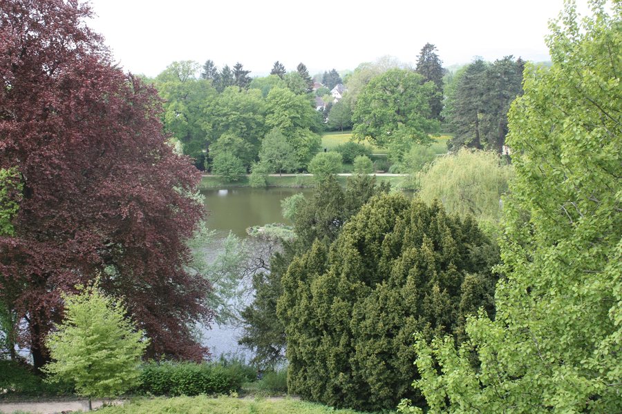 Bad Homburg v. d. Höhe, Schlossgarten im Spätfrühling