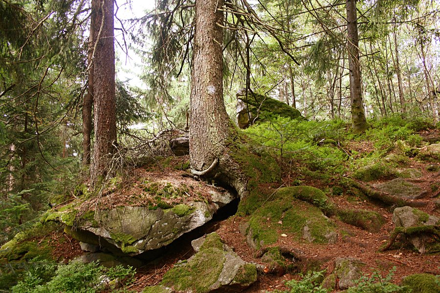 File:Weg zum teufelstisch1.JPG