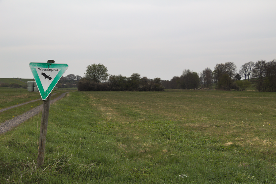 Nature Reserve 