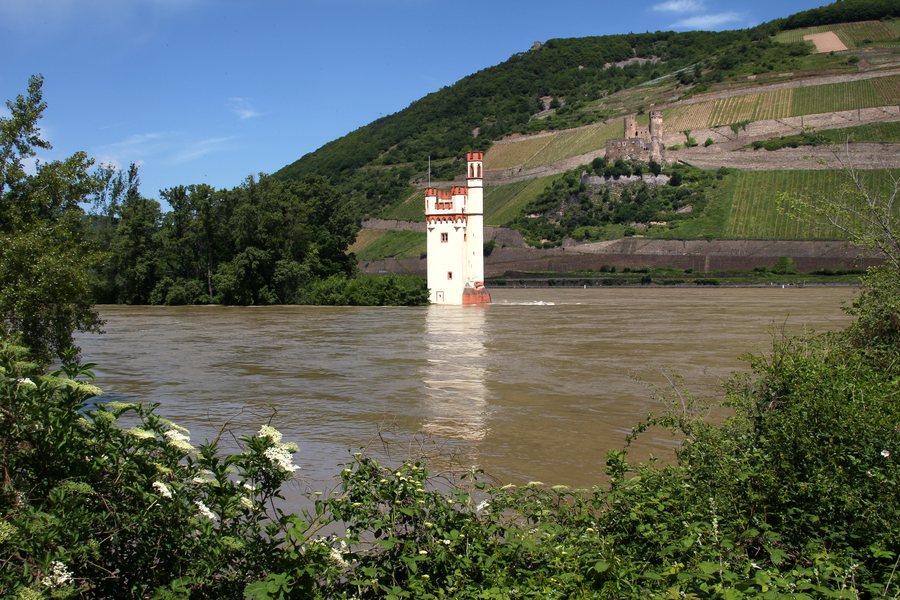 File:Binger Mäuseturm und Ruine Ehrenfels bei Rüdesheim am Rhein. 01.jpg