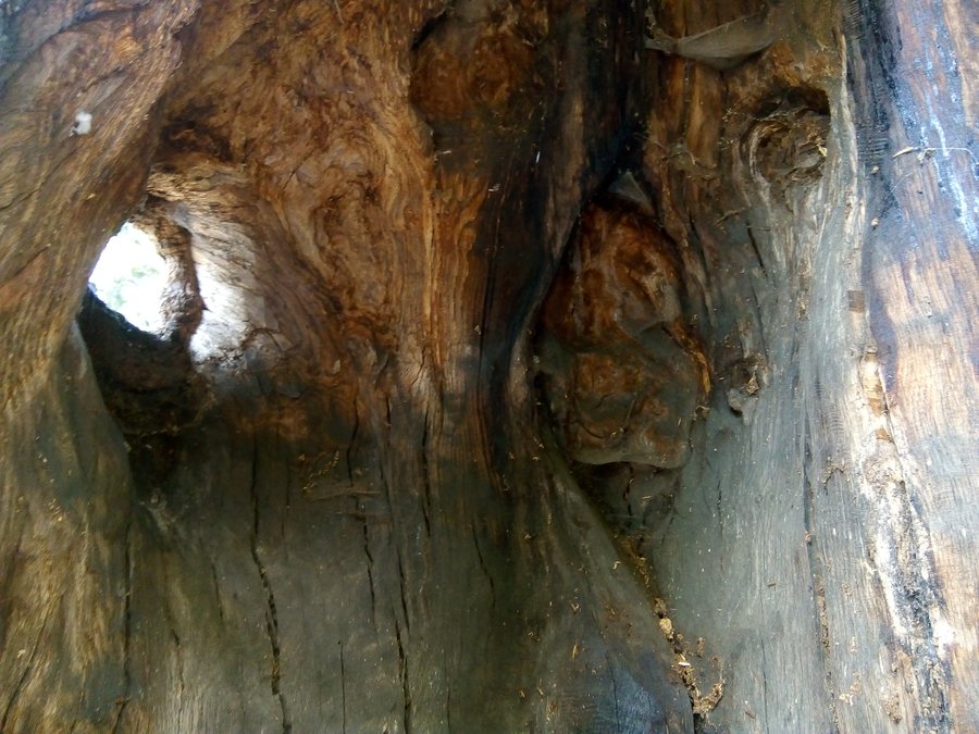File:Naturdenkmal Stadtallendorf 8.jpg
