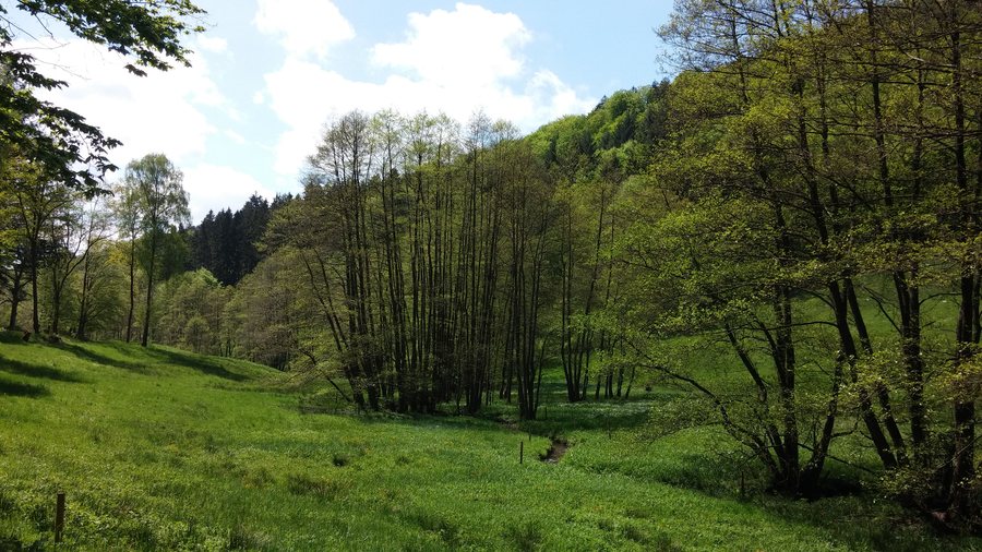 File:Eiterbachtal Wald-Michelbach.jpg