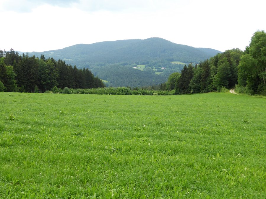 Landschaft des Bayerischen Waldes
