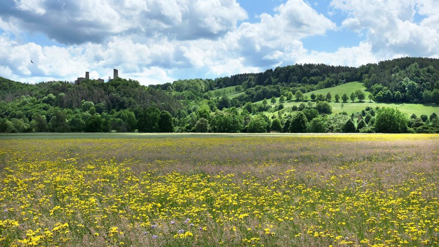 Werraaue von Herleshausen im Werra-Meißner-Kreis