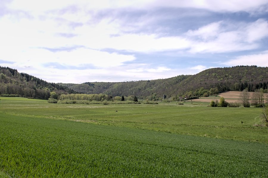 File:Landschaftsschutzgebiet Blaustein IMG 9564.jpg