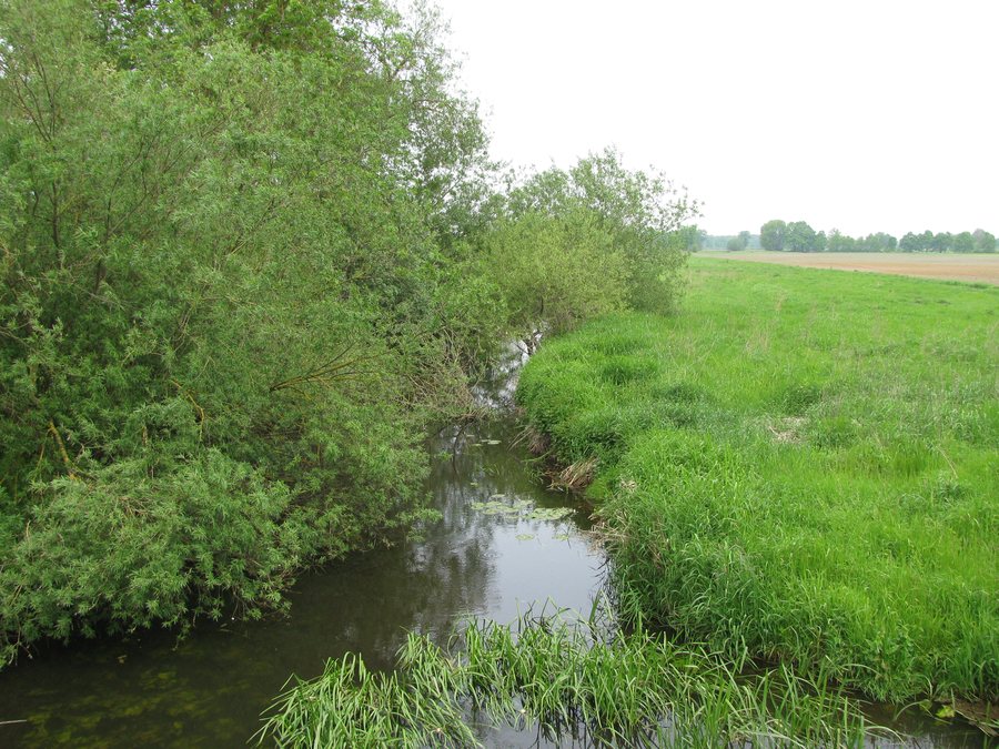 Ise, 2, Wahrenholz, Landkreis Gifhorn