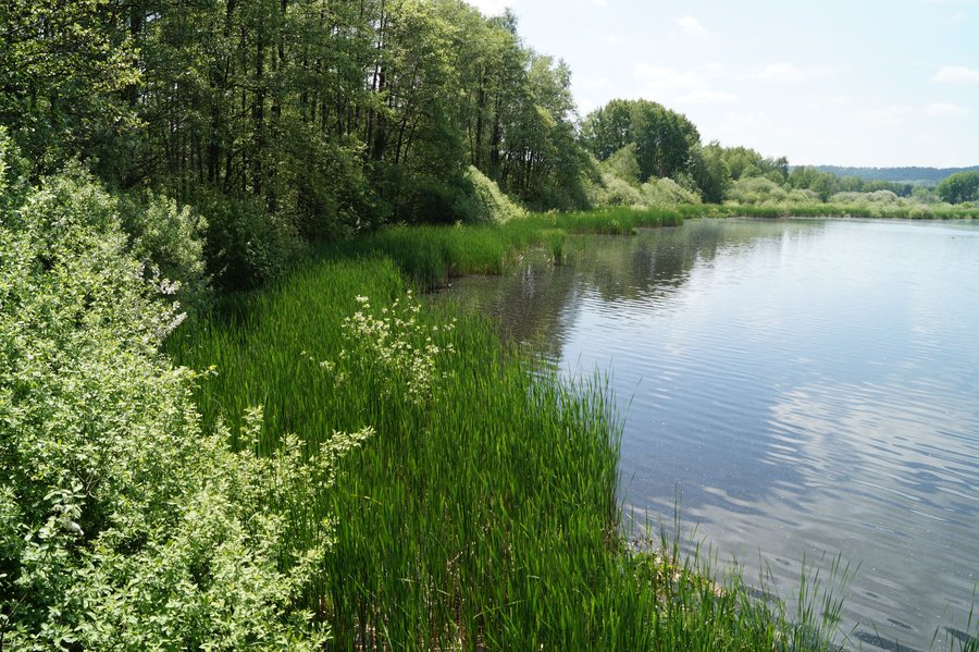 File:Craimoosweiher vom Norden.jpg