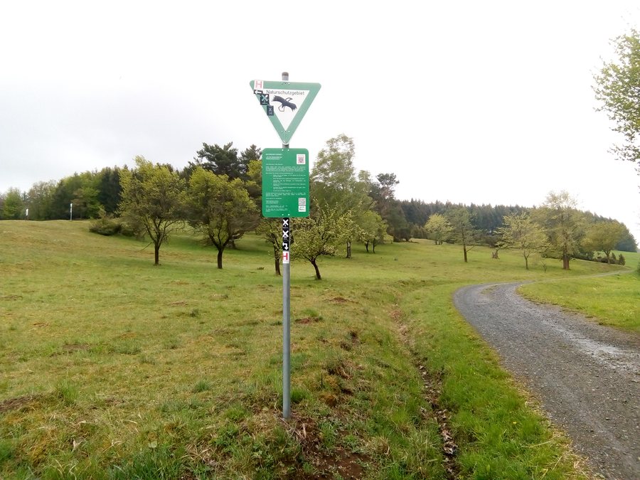 File:An der Brachehöll bei Niedereisenhausen 2.jpg