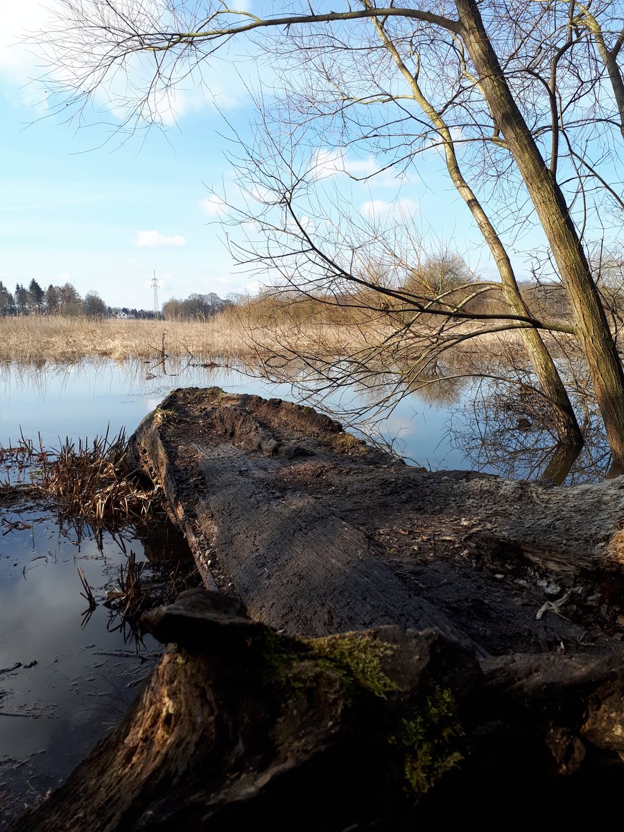 File:20180402 104045 Ilmenau bei Deutsch Evern Landschaftsschutzgebiet.jpg
