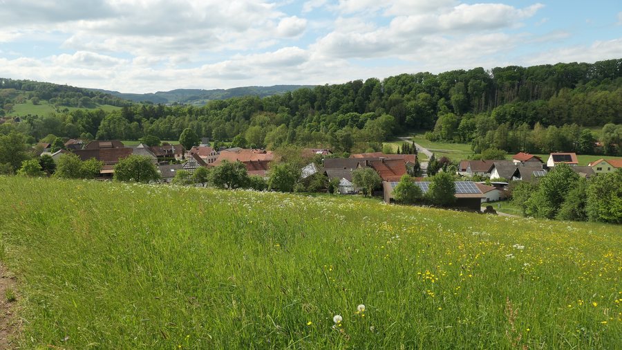 File:Bockenrod (Reichelsheim) 2025.JPG