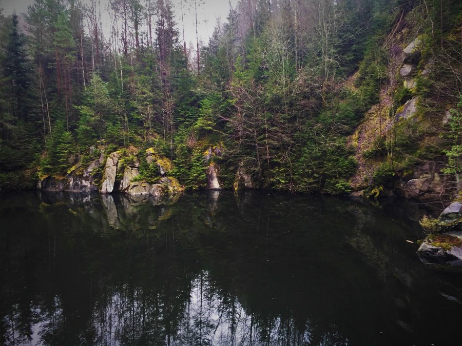 Naturpark Bayerischer Wald 15-12-19 Patersdorf (2)