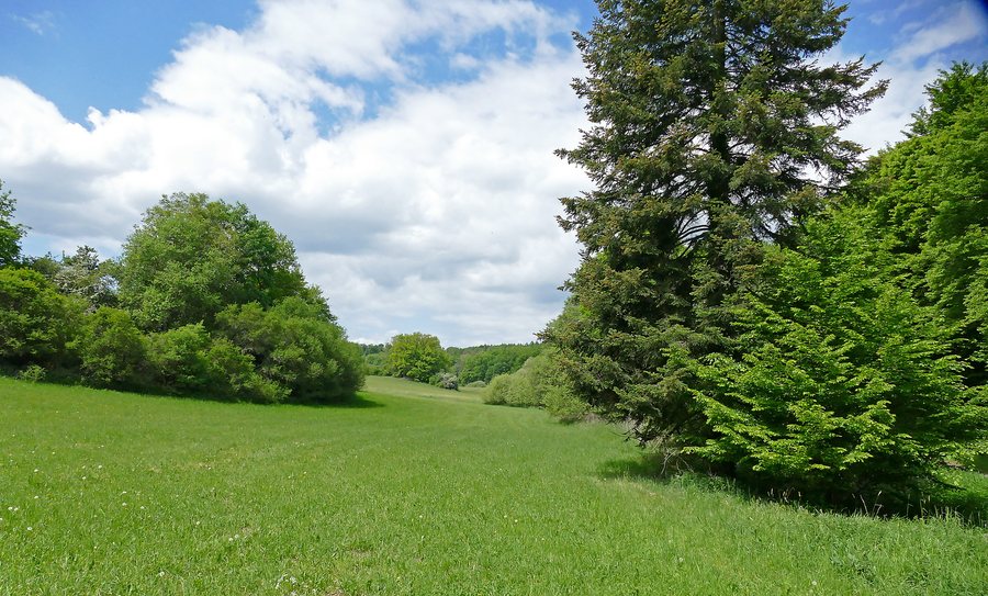 Eberstein, Naturschutzgebiet