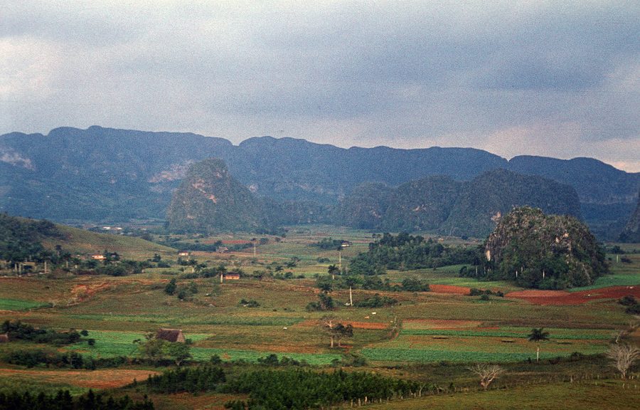 Grünes Tal von Viñales
