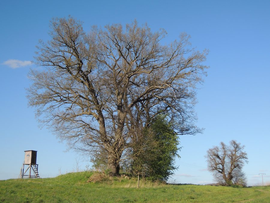 The megalithic tomb Schabow