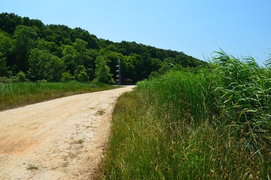 Blick in den Nationalpark der İğneada-Auenwälder in İğneada, Provinz Kırklareli