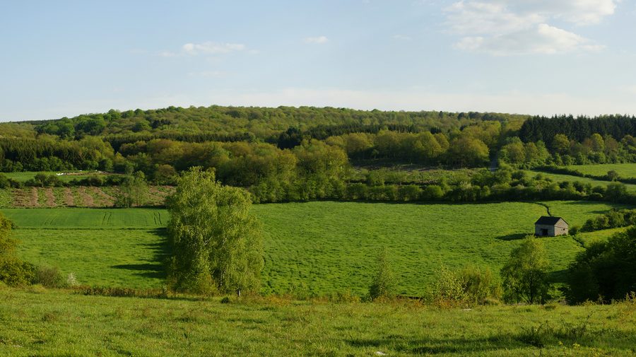 Landschaft von Viroinval nahe Nismes in Belgien