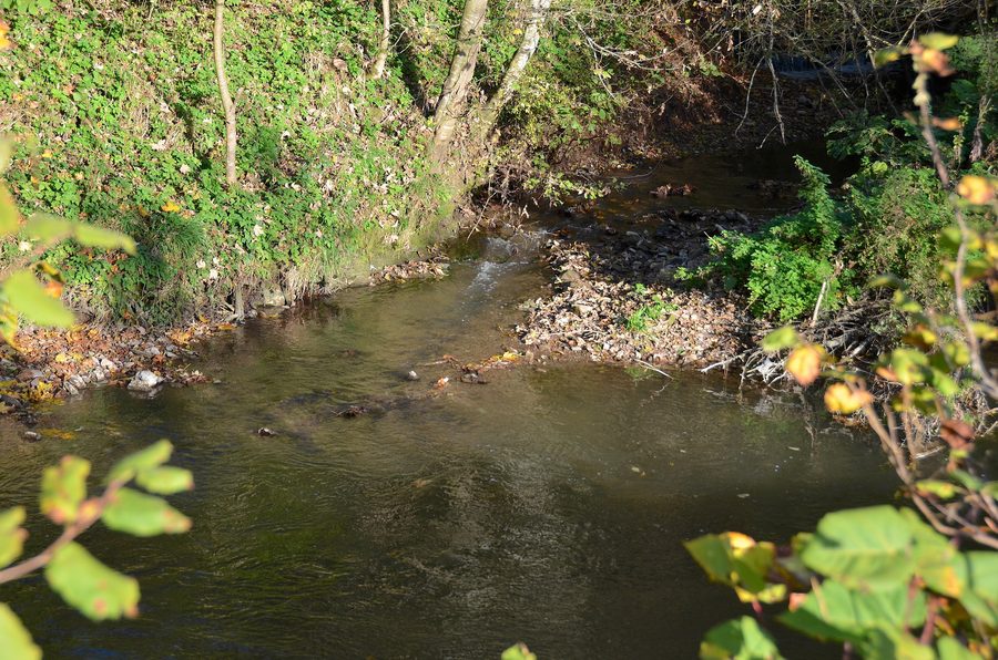 Mündung des Talbachs in die Eyach bei Grosselfingen