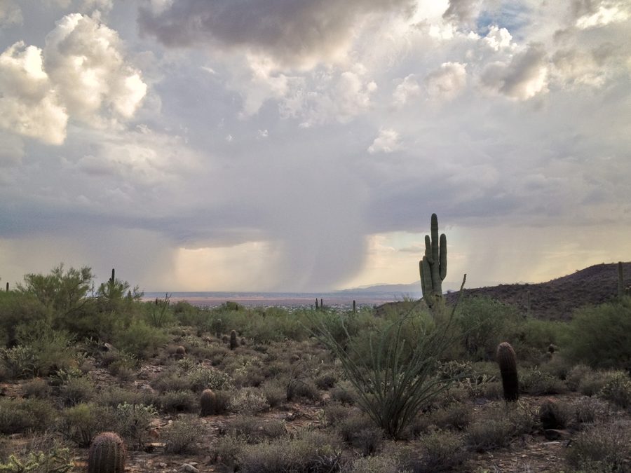 Monsunregen über der Sonora-Wüste im Raum Phoenix, Arizona